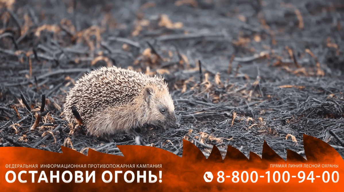 Stop Fire